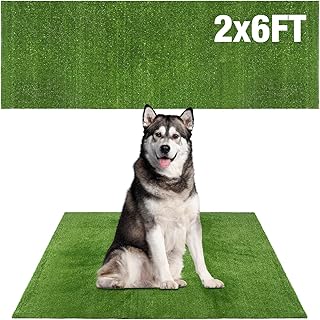Dog Potty Training Turf 2x6 ft