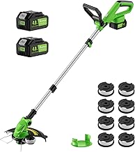 20V 12" Cordless String Trimmer with 2 Batteries