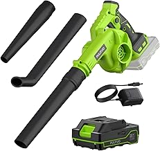20V Cordless Leaf Blower with Battery