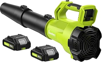 Cordless Leaf Blower with 2 Batteries
