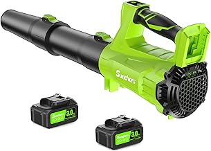 Cordless Electric Leaf Blower with 2 Batteries