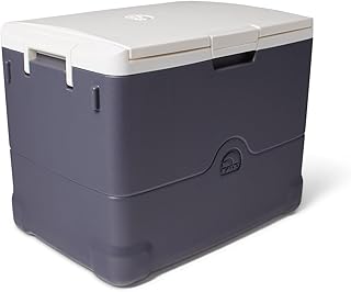 Igloo Iceless Thermoelectric Cooler | Plug-in Cooler