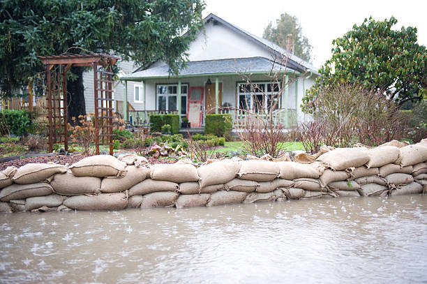 20 Best Flooding Sandbags (2025 Review Guide)