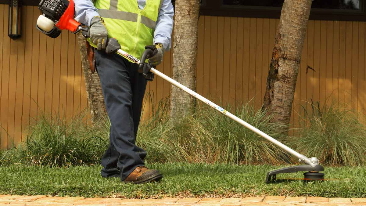 Best Gas Weed Eater ,  Ultimate 2023 Yard Maintenance Guide