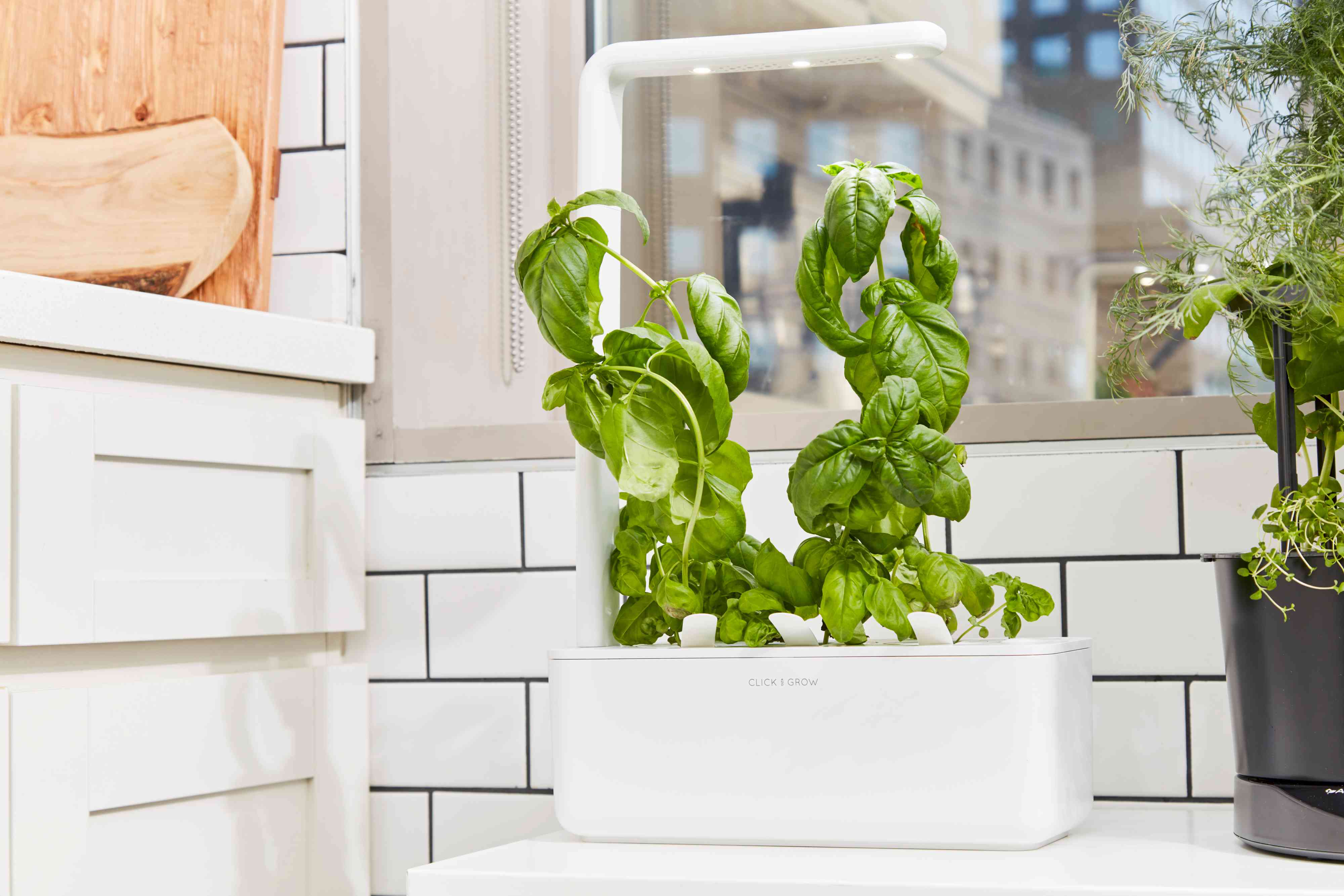 9 Best Indoor Smart Gardens (2025 Review Guide)