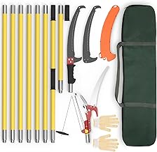 Pole Saws for Tree Trimming