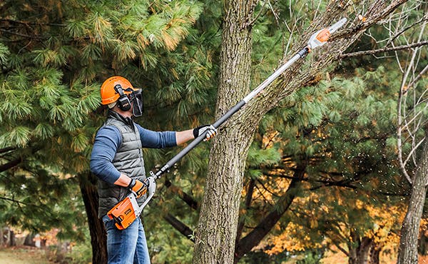 Best Pole Saw Reviews: Top Picks for Effortless Pruning