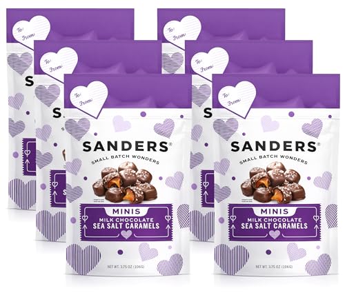 Milk Chocolate Sea Salt Caramel Mini Bites - 6 Pack
