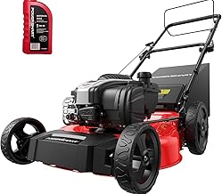 PowerSmart 21-Inch Gas Lawn Mower