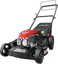 Self-Propelled Gas Lawn Mower, 21" Deck