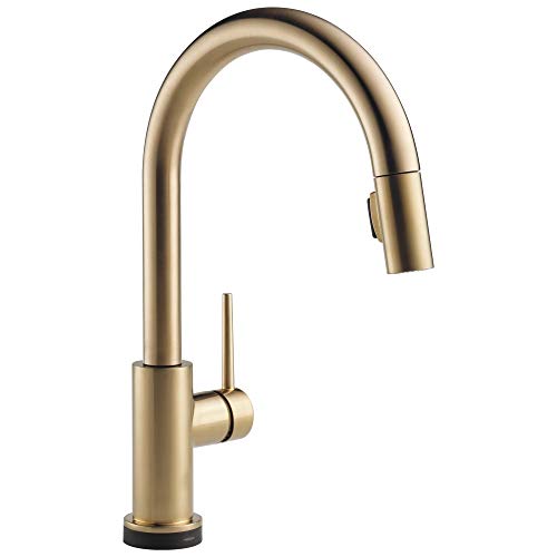 Delta Trinsic Voice-Activated Touchless Kitchen Faucet with Pull-Down Sprayer