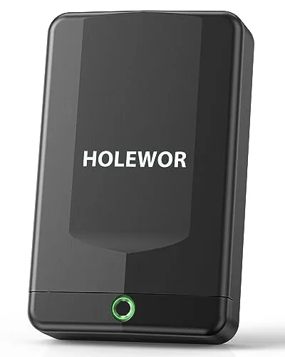HOLEWOR Biometric Pistol Safe with Cable Lock